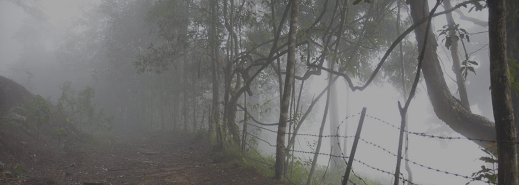 Thangamale Bird Sanctuary